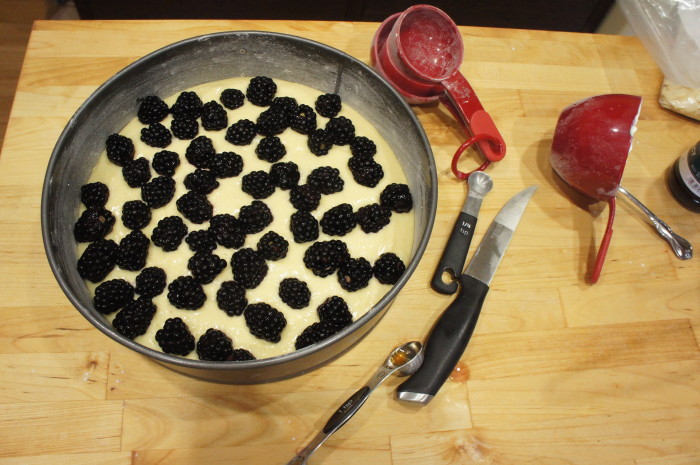 Blackberry Coffeecake // Serious Crust by Annie Fassler