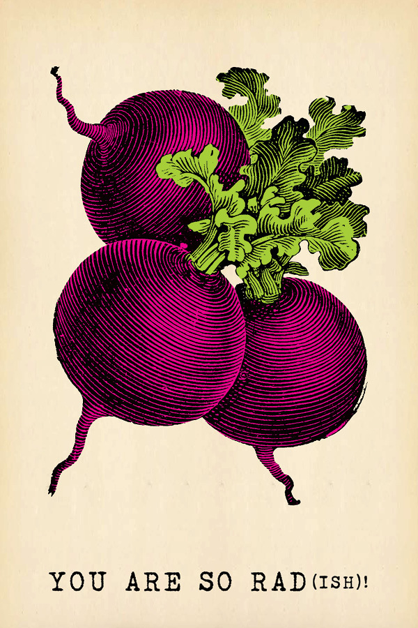 Kitchen Art: Radish postcard from Sugarboo // Serious Crust by Annie Fassler